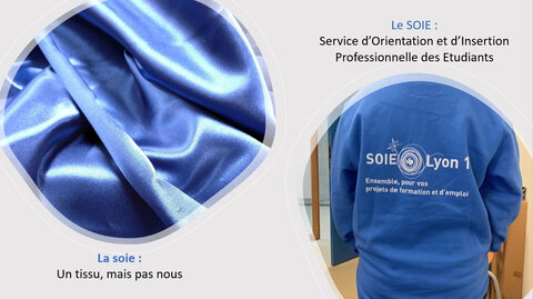 Concours photo soie 2026, Capture d&rsquo;&eacute;cran 2026-01-05 142117