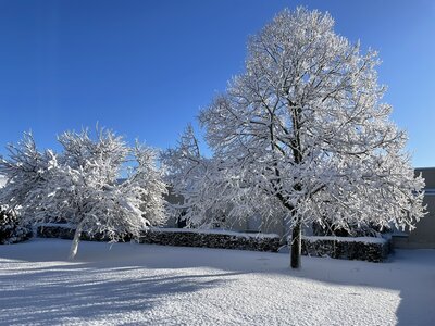 Les Résidentiels sous la neige !, St-Sulpice_neige 5