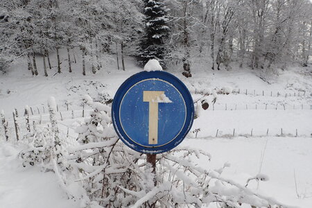 neige au Phaux 2, 2026-01-10_0012