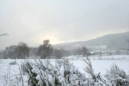 neige au Phaux 2, 2026-01-10_0019