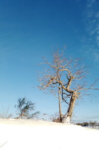 neige au Phaux 2, 2026-01-11_0003