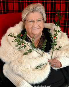 Noël 2025 aux Résidentiels , Photo 28 @Murielle Lévec Schrack