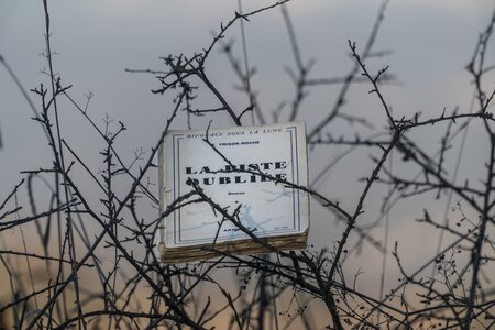 L'Instant Photo 84 : défi décembre 2025 - le murmure du monde, murmure04 - Cathy