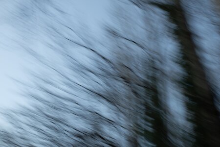 L'Instant Photo 84 : défi décembre 2025 - le murmure du monde, murmure06 - Philippe