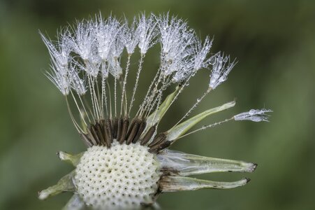 L'Instant Photo 84 : défi décembre 2025 - le murmure du monde, murmure09 - Cathy