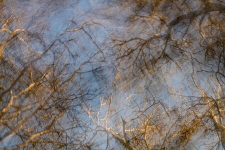 L'Instant Photo 84 : défi décembre 2025 - le murmure du monde, murmure15 - Evy