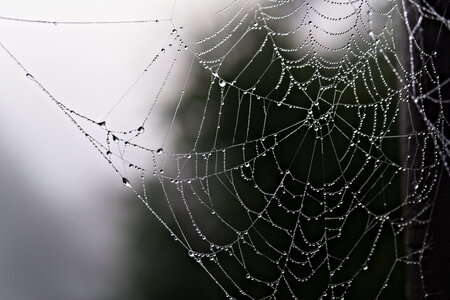L'Instant Photo 84 : défi décembre 2025 - le murmure du monde, murmure17 - Jean-Jacques