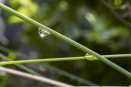 L'Instant Photo 84 : défi décembre 2025 - le murmure du monde, murmure19 - Cathy