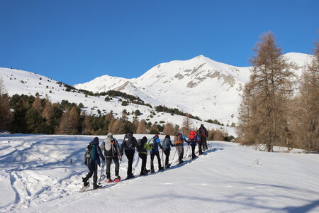 Raquettes dans le Dévoluy (Col de Darne ), IMG_1318