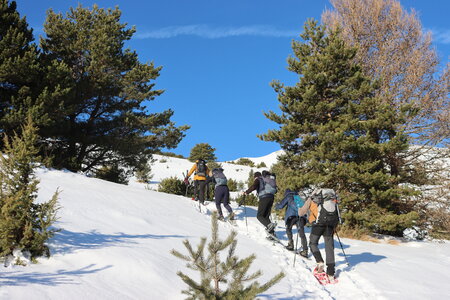 Raquettes dans le Dévoluy (Col de Darne ), IMG_1320