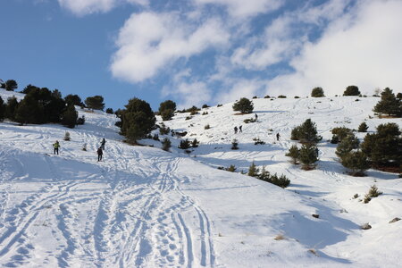 Raquettes dans le Dévoluy (Col de Darne ), IMG_1347