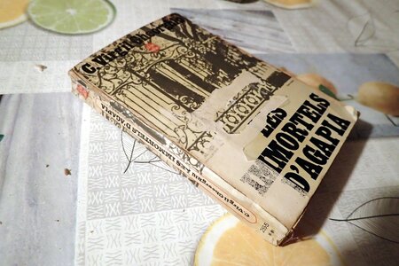 Réparation de livres, Les immortels d'Agapia restauré (couverture renforcée à l'intérieur par du papier Kraft)