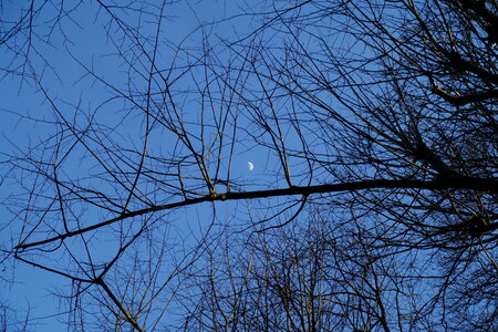 20250306 - Musée National de la Renaissance au Château d'Écouen, 27