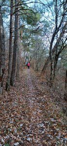 Puy Maurel, 20260120_093450