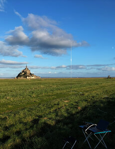 flora-fauna, FFF-074 Winter afternoon in Polder Mont-Saint-Michel