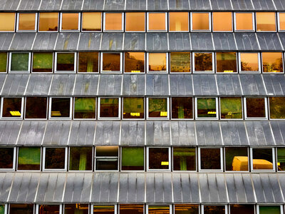 Boîte à Polas - 2025, 2025_002