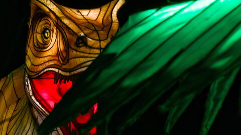 Boîte à Polas - 2025, 2025_004