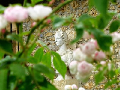 Boîte à Polas - 2024, 2024_001