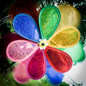 Boîte à Polas - 2024, 2024_003