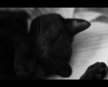 Boîte à Polas - 2020, 2020_001