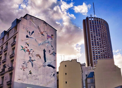 Boîte à Polas - 2020, 2020_003