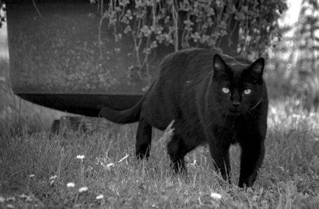 Boîte à Polas - 2020, 2020_017