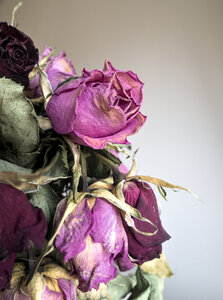 Boîte à Polas - 2020, 2020_022