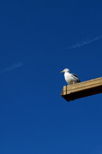 Boîte à Polas - 2019, 2019_007