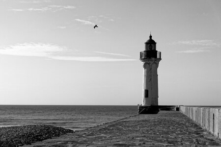 Boîte à Polas - 2019, 2019_008