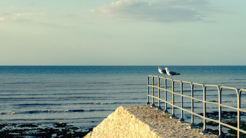 Boîte à Polas - 2019, 2019_009