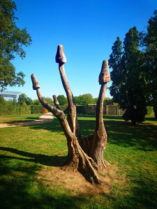 Boîte à Polas - 2019, 2019_012