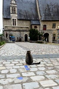 Boîte à Polas - 2019, 2019_015