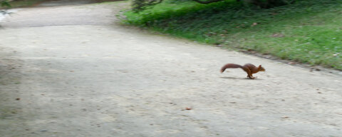 Boîte à Polas - 2019, 2019_018