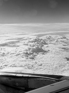 Boîte à Polas - 2019, 2019_024