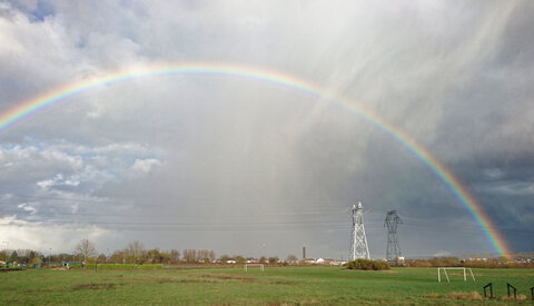 Boîte à Polas - 2019, 2019_034