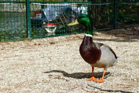 Boîte à Polas - 2019, 2019_038