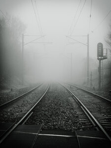 Boîte à Polas - 2019, 2019_039