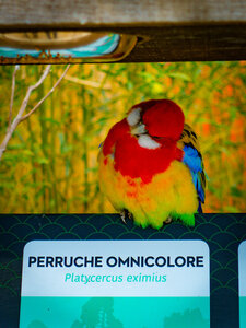 Boîte à Polas - 2019, 2019_040