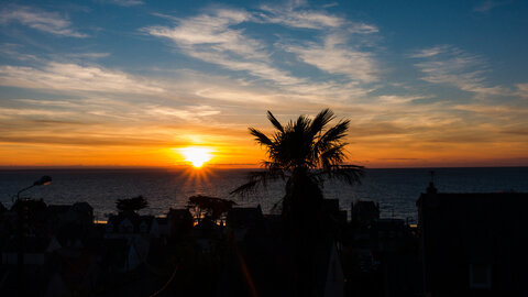 Boîte à Polas - 2019, 2019_041