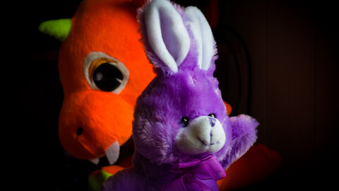 Boîte à Polas - 2019, 2019_043