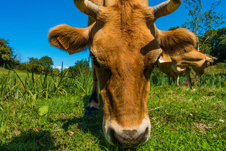 Boîte à Polas - 2019, 2019_044