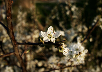 Boîte à Polas - 2019, 2019_048