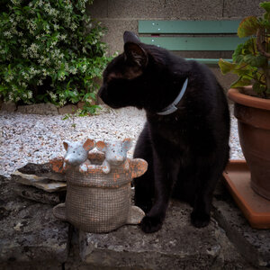 Boîte à Polas - 2019, 2019_056