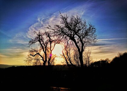 Boîte à Polas - 2016, 2016_008