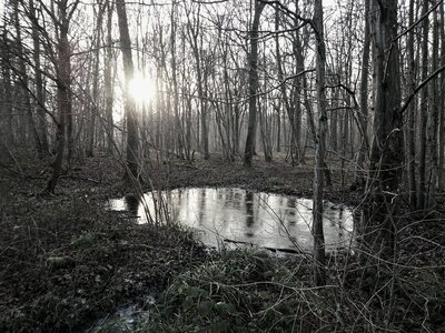 Boîte à Polas - 2016, 2016_009