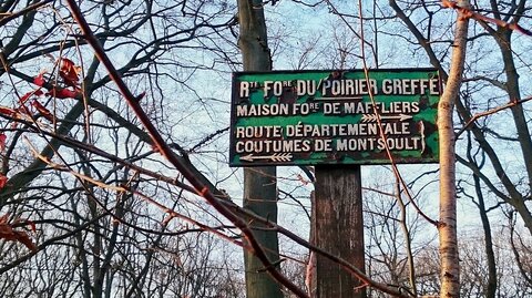 Boîte à Polas - 2016, 2016_010