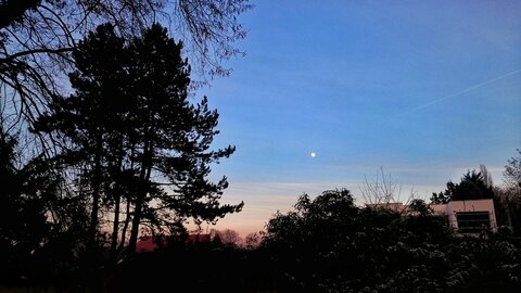 Boîte à Polas - 2016, 2016_011