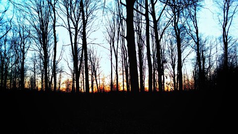 Boîte à Polas - 2016, 2016_012