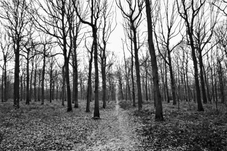 Boîte à Polas - 2016, 2016_013