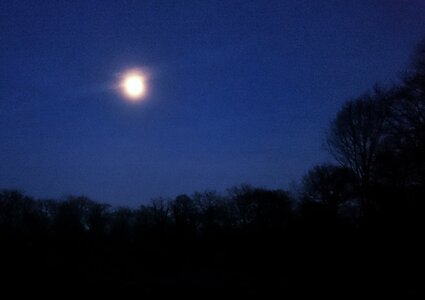 Boîte à Polas - 2016, 2016_015